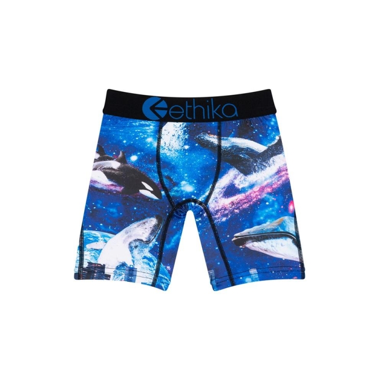 Sous Vêtement Ethika Space Whale Staple Bleu Marine Garcon | XCPP-57152272