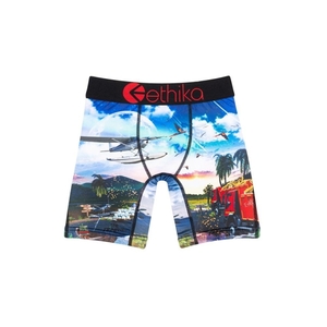 Sous Vêtement Ethika Isla De Encanto Staple Multicolore Garcon | YGJX-44879444