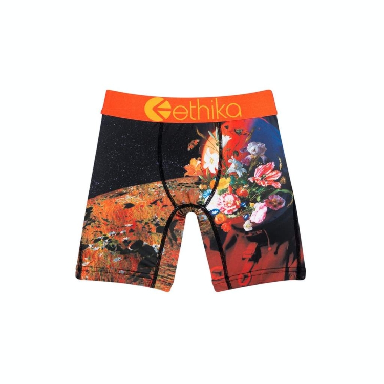 Sous Vêtement Ethika Superbloom Staple Noir Garcon | MCEC-73143445