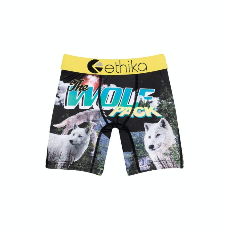 Sous Vêtement Ethika The Wolf Pack Staple Multicolore Garcon | TWGC-87042487