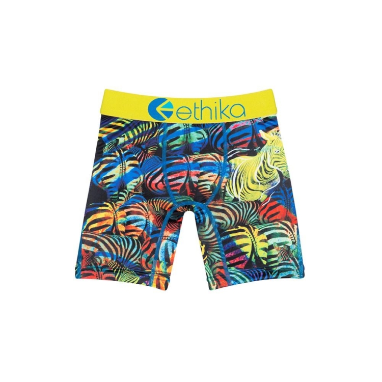 Sous Vêtement Ethika Froot Stripes Staple Multicolore Garcon | PWSK-01699643