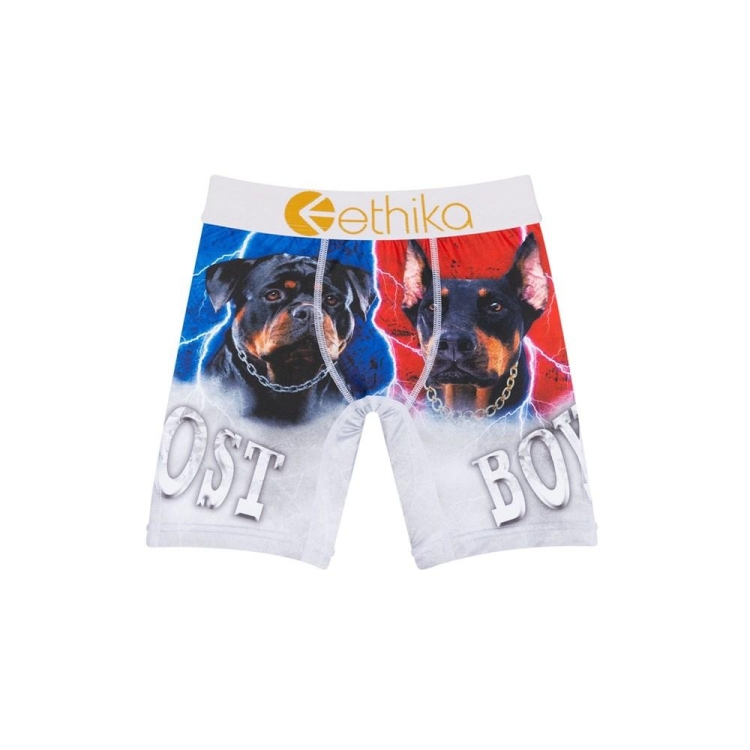 Sous Vêtement Ethika Lost Staple Grise Garcon | UMFY-89871777