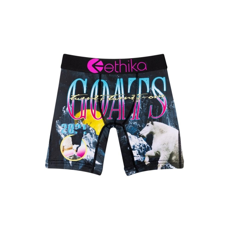 Sous Vêtement Ethika Los Goats Staple Bleu Marine Garcon | DMUC-53063587