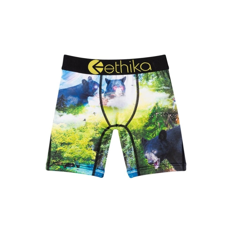 Sous Vêtement Ethika My Time Staple Vert Garcon | HTJP-99909179