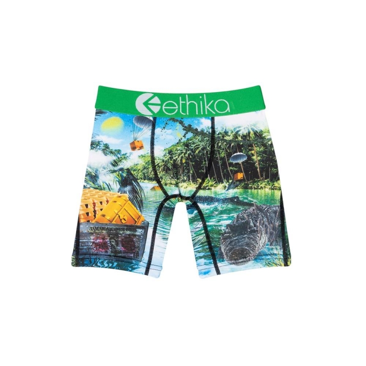 Sous Vêtement Ethika Dundee Staple Vert Garcon | MVEF-41893943