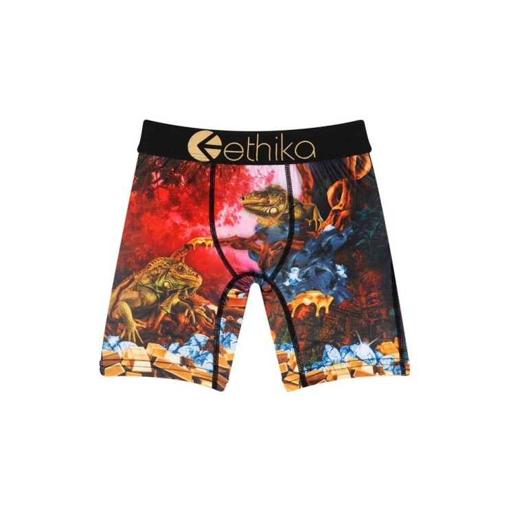 Sous Vêtement Ethika Dreams Of Bounty Staple Multicolore Garcon | KXSM-88473982