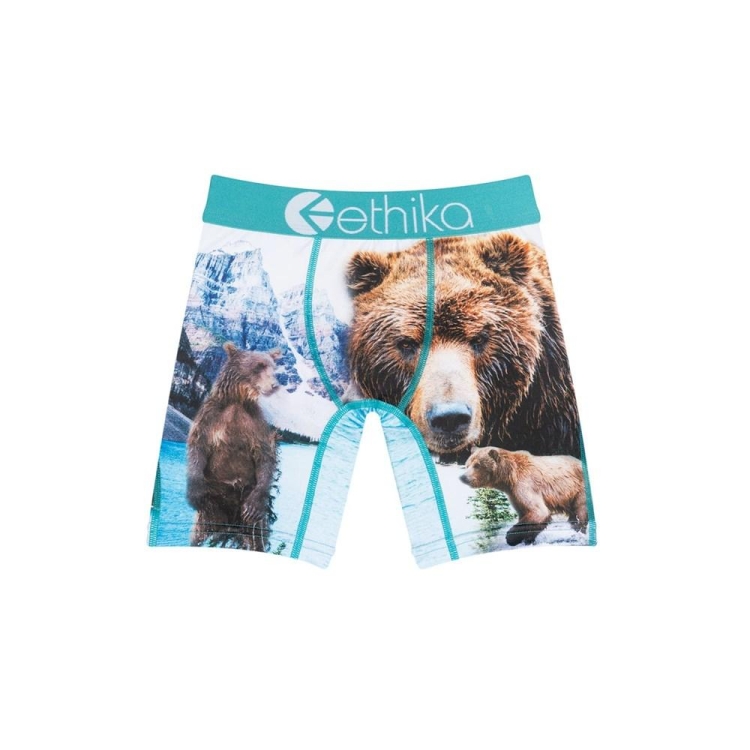 Sous Vêtement Ethika Brother Bears Staple Blanche Garcon | VMBU-24528556