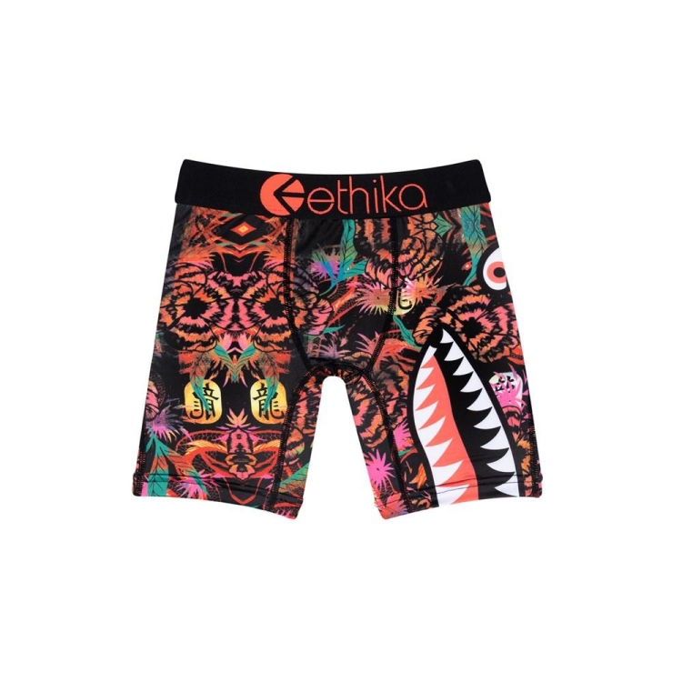 Sous Vêtement Ethika Bomber Flair Staple Multicolore Garcon | AIDJ-06049156