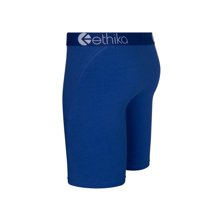 Sous Vêtement Ethika Winner Staple Bleu Garcon | LPLS-08659349