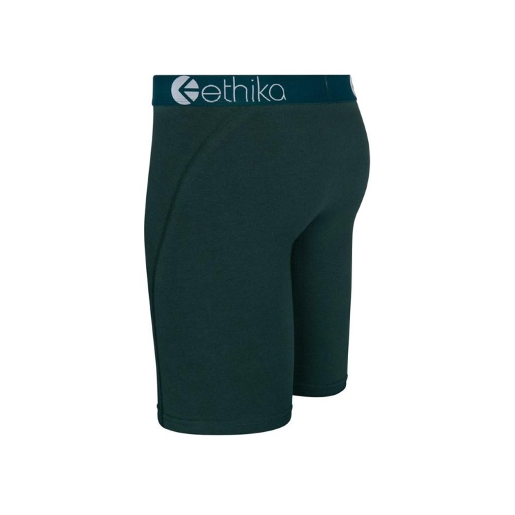 Sous Vêtement Ethika Victory Staple Vert Garcon | RPKL-53949821