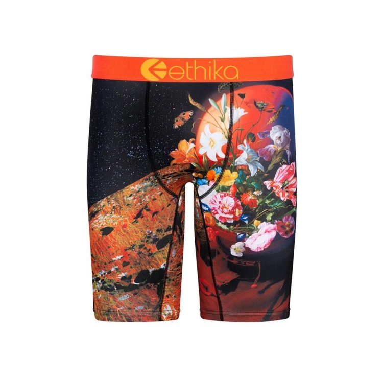 Sous Vêtement Ethika Superbloom Staple Noir Garcon | JDPD-40327375