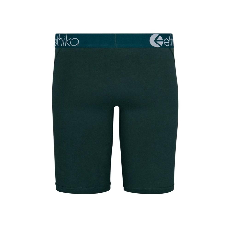 Sous Vêtement Ethika Victory Staple Vert Garcon | RPKL-53949821