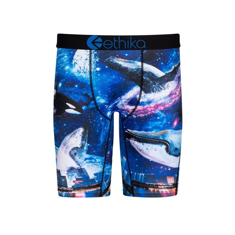 Sous Vêtement Ethika Space Whale Staple Bleu Marine Garcon | FGBO-79878607