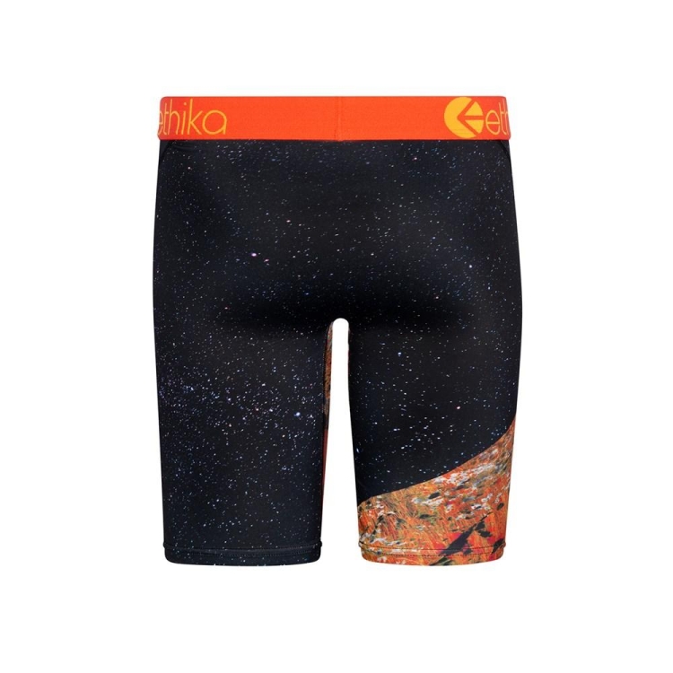 Sous Vêtement Ethika Superbloom Staple Noir Garcon | JDPD-40327375