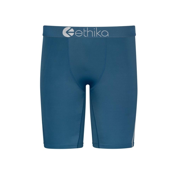 Sous Vêtement Ethika SubZero Lake Staple Bleu Garcon | MTMY-59304917