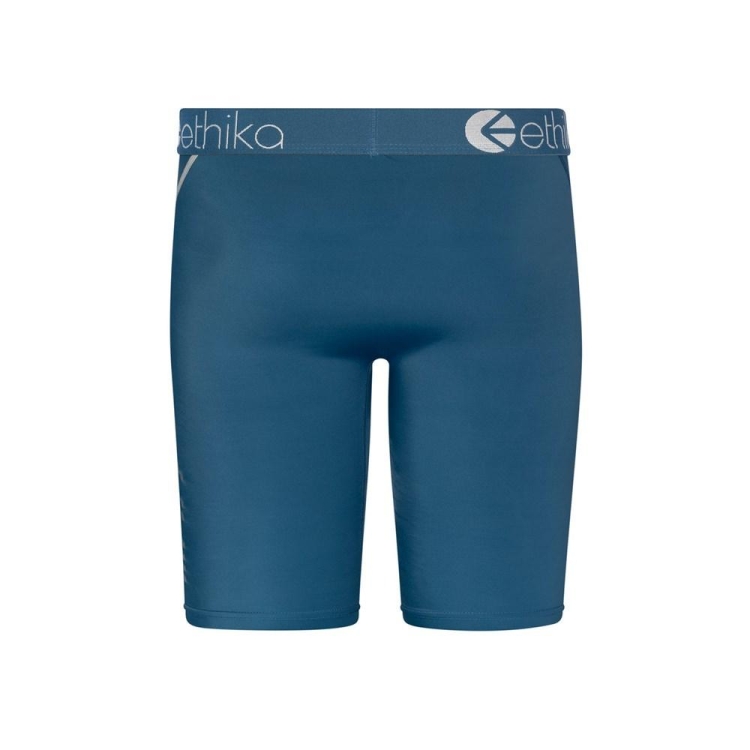 Sous Vêtement Ethika SubZero Lake Staple Bleu Garcon | MTMY-59304917