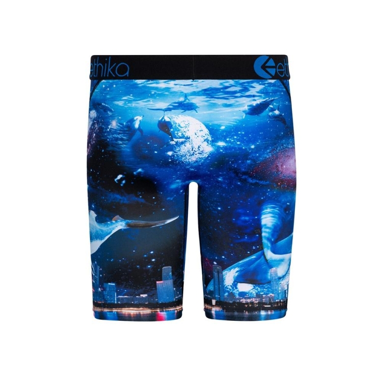 Sous Vêtement Ethika Space Whale Staple Bleu Marine Garcon | FGBO-79878607