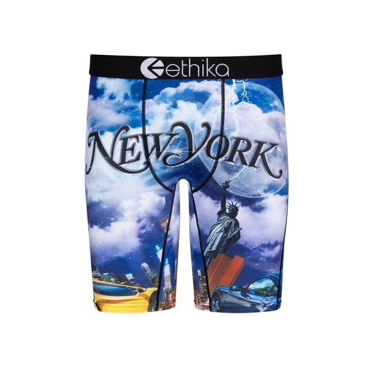 Sous Vêtement Ethika Only Exotics Staple Bleu Garcon | XAGW-16012714