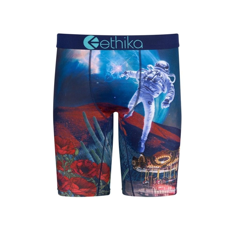 Sous Vêtement Ethika Sicko Staple Multicolore Garcon | WPNS-56599001