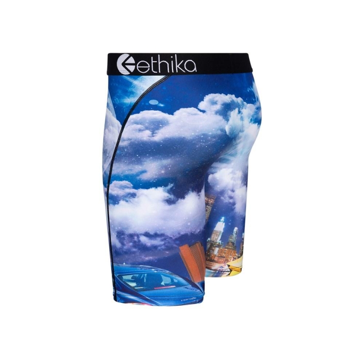 Sous Vêtement Ethika Only Exotics Staple Bleu Garcon | XAGW-16012714