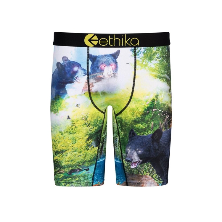 Sous Vêtement Ethika My Time Staple Vert Garcon | GEQW-46628267