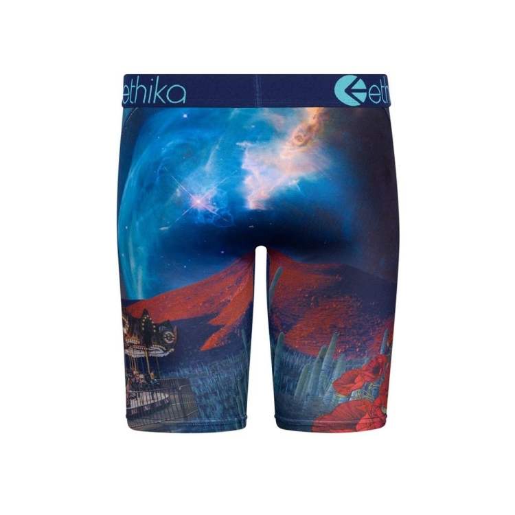 Sous Vêtement Ethika Sicko Staple Multicolore Garcon | WPNS-56599001