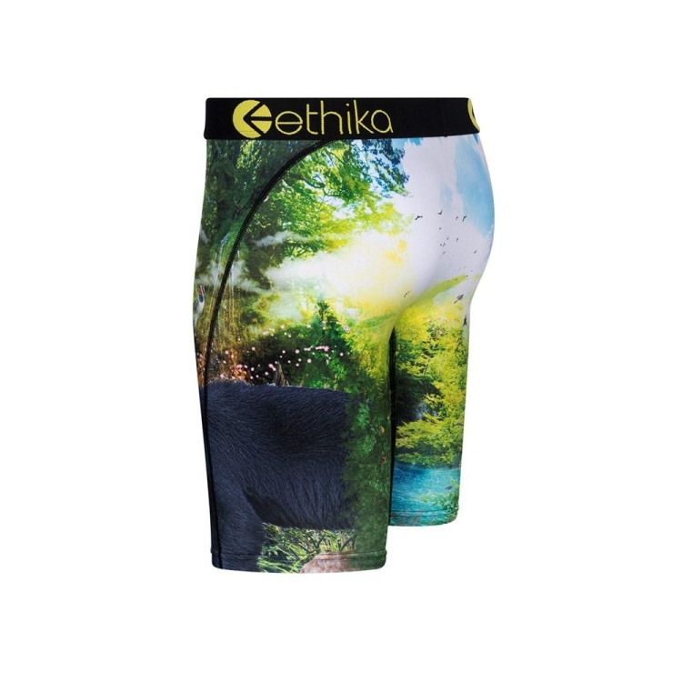 Sous Vêtement Ethika My Time Staple Vert Garcon | GEQW-46628267