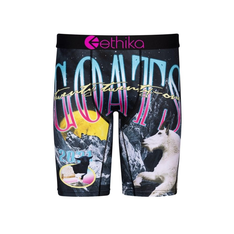 Sous Vêtement Ethika Los Goats Staple Bleu Marine Garcon | OFUA-10024745