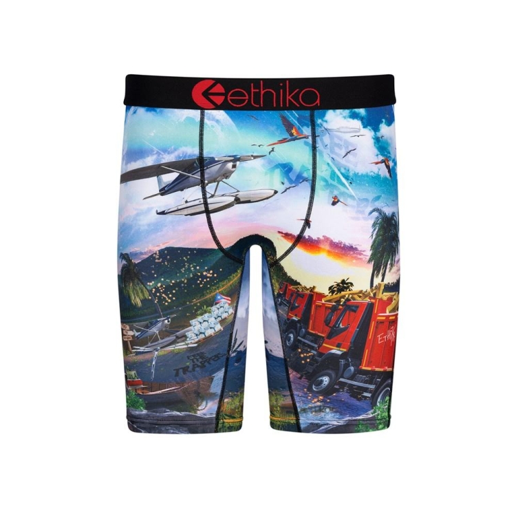 Sous Vêtement Ethika Isla De Encanto Staple Multicolore Garcon | JBZZ-70761267