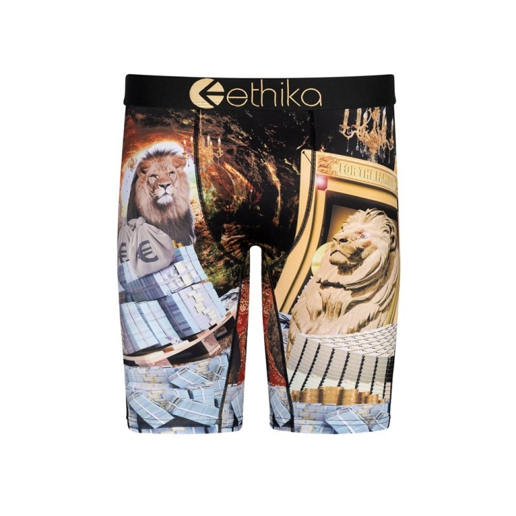 Sous Vêtement Ethika Lions Den Staple Noir Garcon | HWPH-66532560