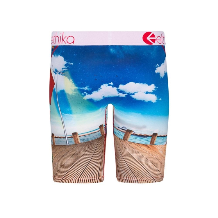 Sous Vêtement Ethika Miami Port Staple Multicolore Garcon | YSPI-18501267