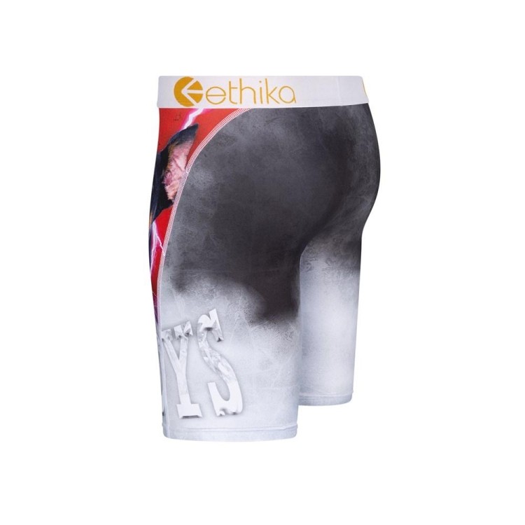 Sous Vêtement Ethika Lost Staple Grise Garcon | DMAY-62027603