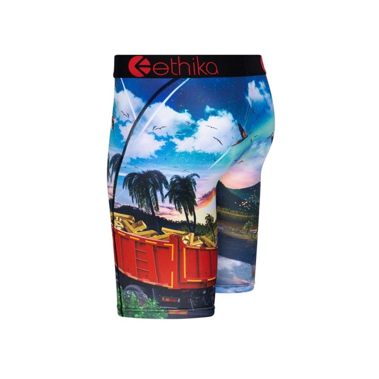 Sous Vêtement Ethika Isla De Encanto Staple Multicolore Garcon | JBZZ-70761267