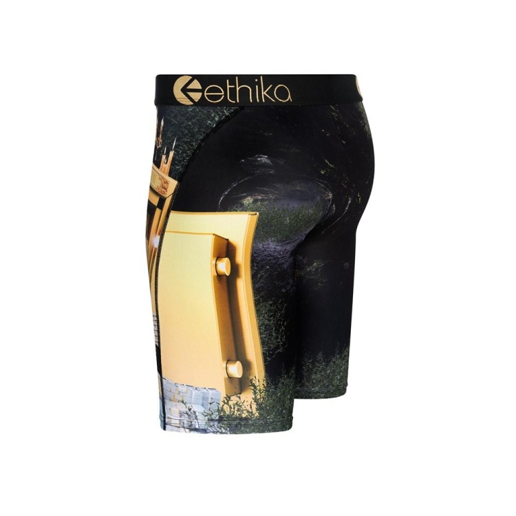 Sous Vêtement Ethika Lions Den Staple Noir Garcon | HWPH-66532560