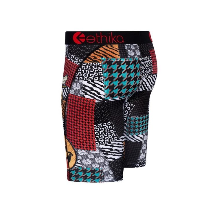 Sous Vêtement Ethika Legacy Act Staple Multicolore Garcon | QBDG-54716254