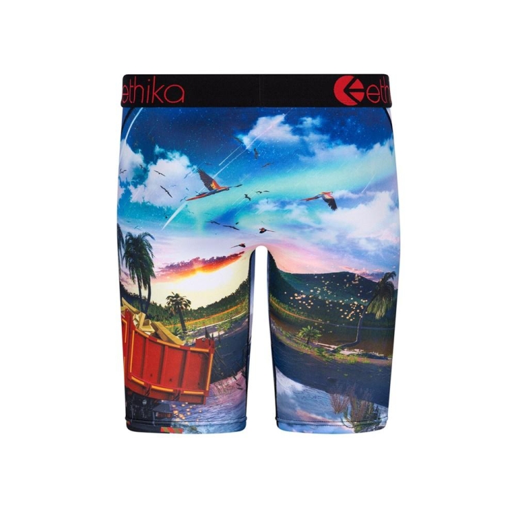 Sous Vêtement Ethika Isla De Encanto Staple Multicolore Garcon | JBZZ-70761267