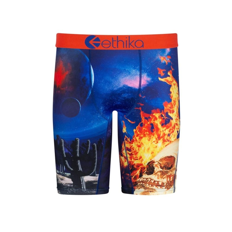 Sous Vêtement Ethika Flame World Staple Multicolore Garcon | BLUZ-93546753