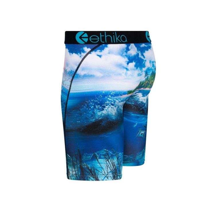 Sous Vêtement Ethika Free The Trappers Staple Bleu Garcon | JYQM-50344035