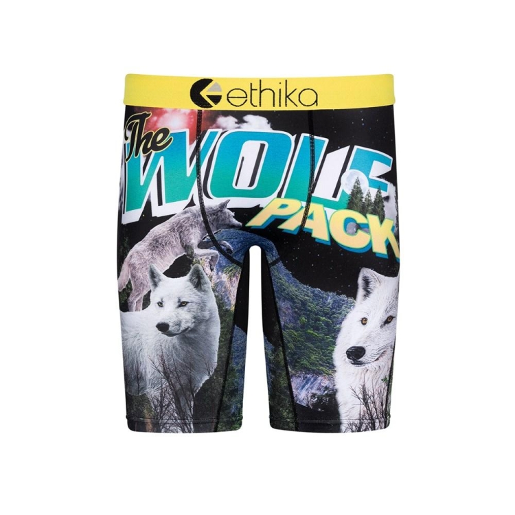 Sous Vêtement Ethika The Wolf Pack Staple Multicolore Garcon | WXME-49093397