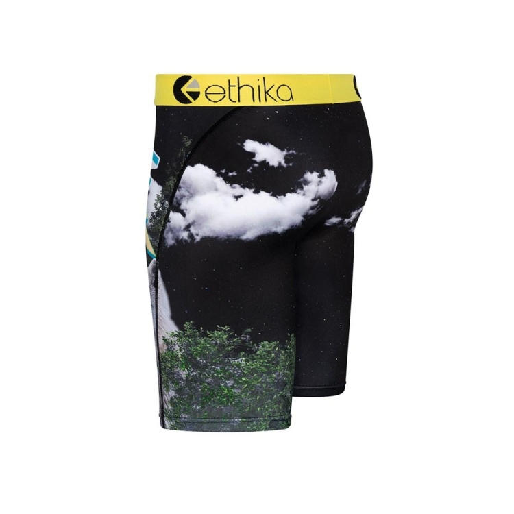 Sous Vêtement Ethika The Wolf Pack Staple Multicolore Garcon | WXME-49093397