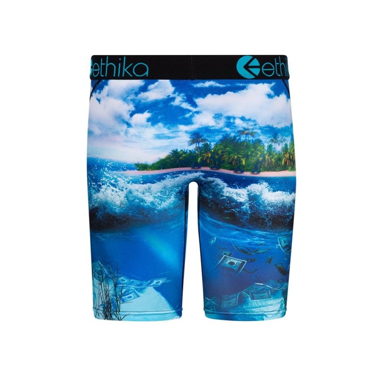 Sous Vêtement Ethika Free The Trappers Staple Bleu Garcon | JYQM-50344035