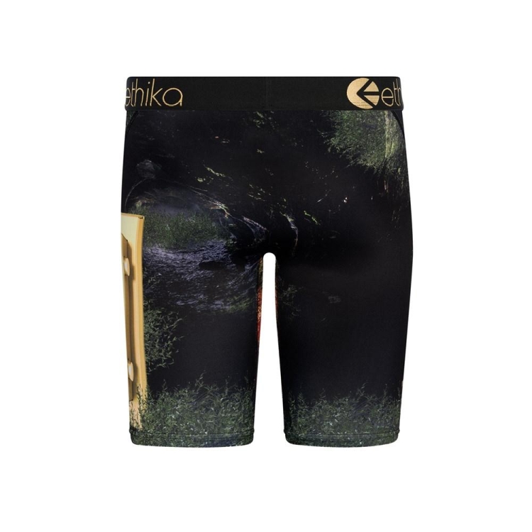 Sous Vêtement Ethika Lions Den Staple Noir Garcon | HWPH-66532560