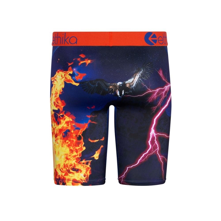 Sous Vêtement Ethika Flame World Staple Multicolore Garcon | BLUZ-93546753