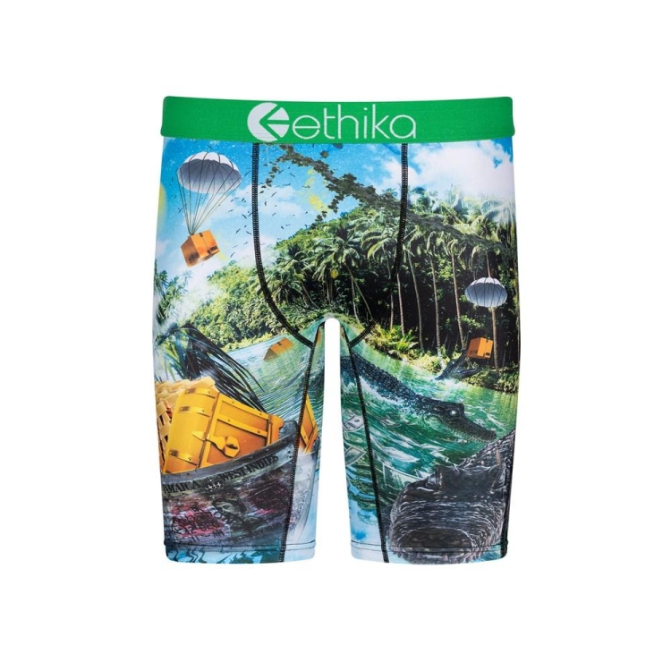 Sous Vêtement Ethika Dundee Staple Vert Garcon | SPTA-09087328