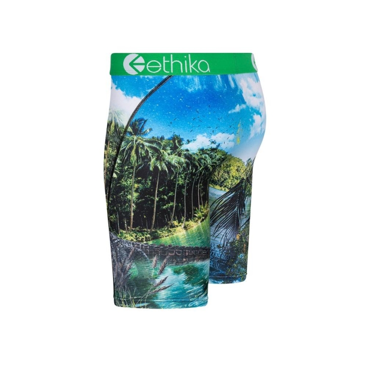 Sous Vêtement Ethika Dundee Staple Vert Garcon | SPTA-09087328