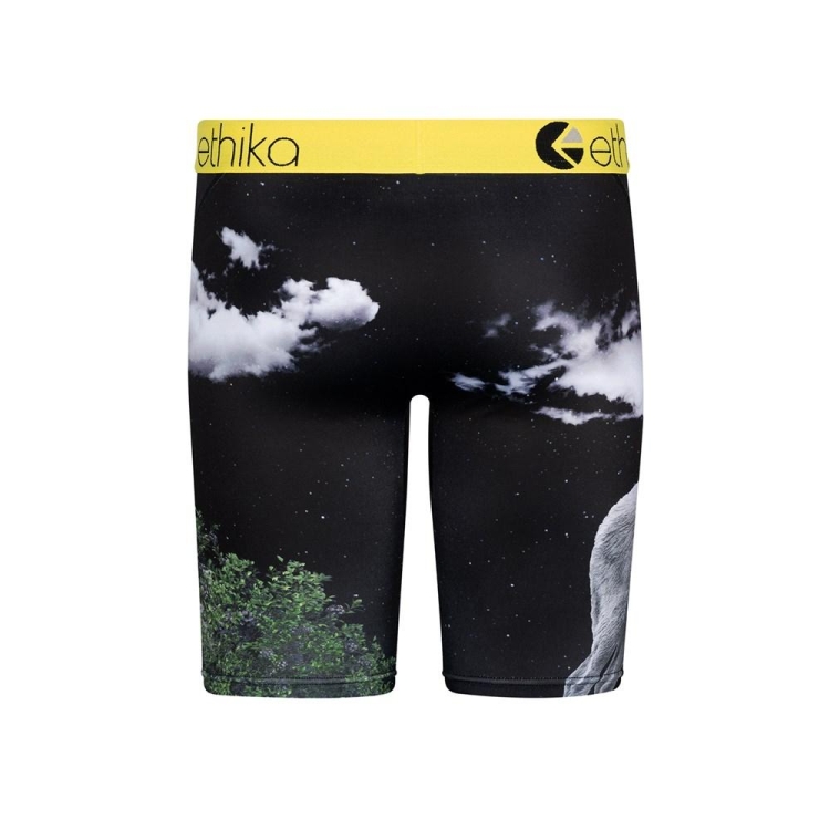 Sous Vêtement Ethika The Wolf Pack Staple Multicolore Garcon | WXME-49093397