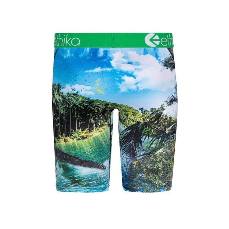 Sous Vêtement Ethika Dundee Staple Vert Garcon | SPTA-09087328