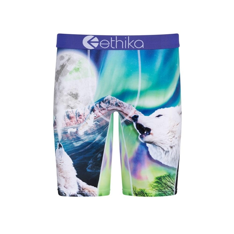 Sous Vêtement Ethika Aurora Wolves Staple Multicolore Garcon | LHNQ-89938843