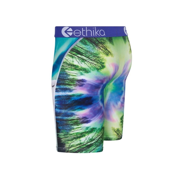 Sous Vêtement Ethika Aurora Wolves Staple Multicolore Garcon | LHNQ-89938843