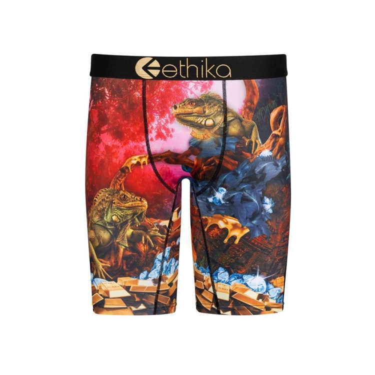 Sous Vêtement Ethika Dreams Of Bounty Staple Multicolore Garcon | FRVO-88269433